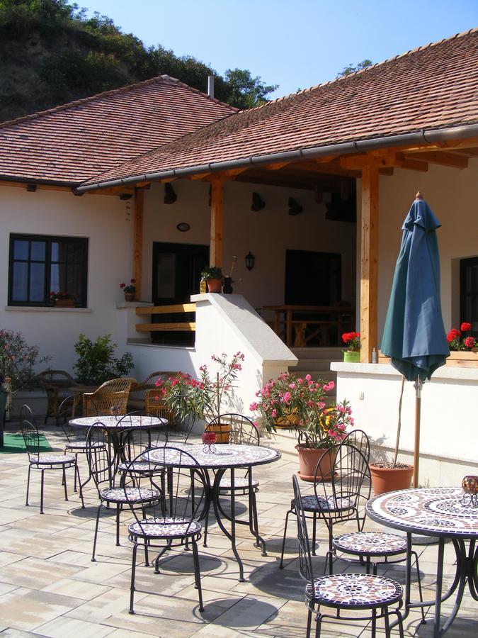 Erzsebet Pince Apartment Токай Екстериор снимка