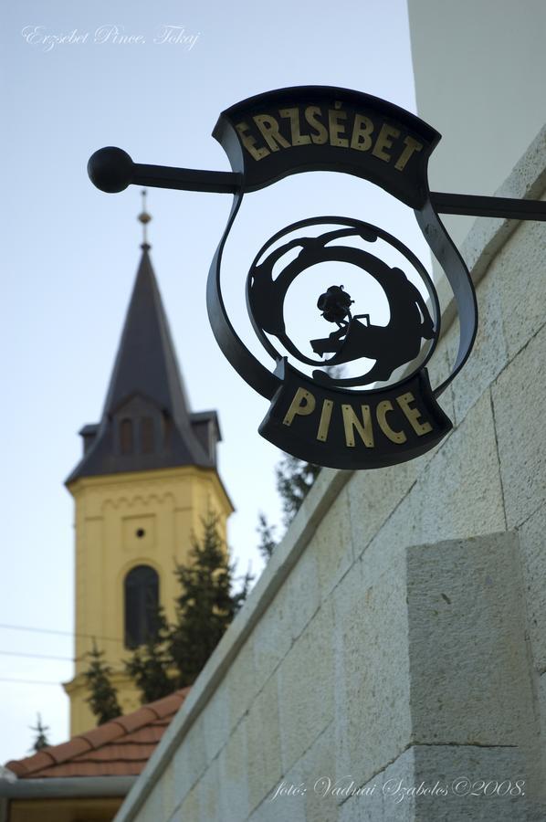 Erzsebet Pince Apartment Токай Екстериор снимка